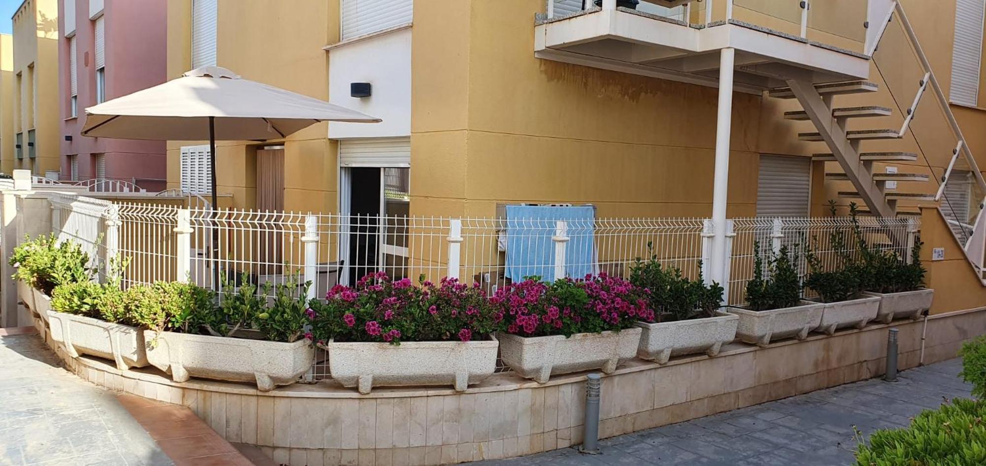 Vera Albacora المظهر الخارجي الصورة